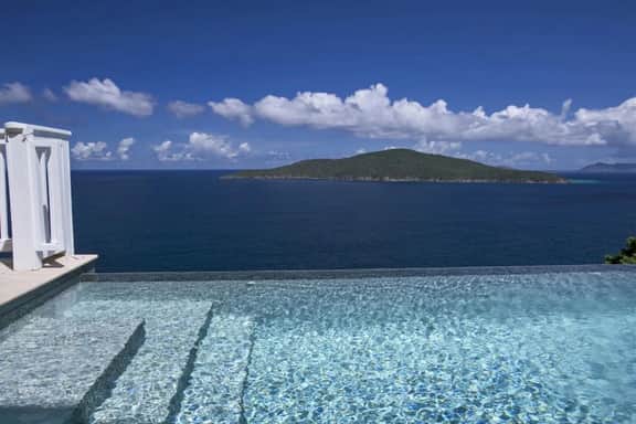 Calypso Delight - Image 5